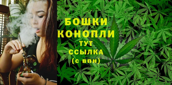 jwh Богородицк