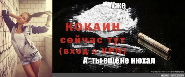 каннабис Богданович