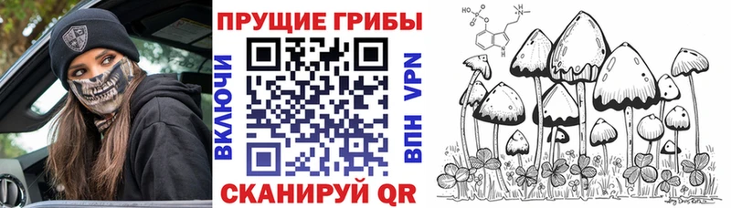 Галлюциногенные грибы Cubensis  Ильский 