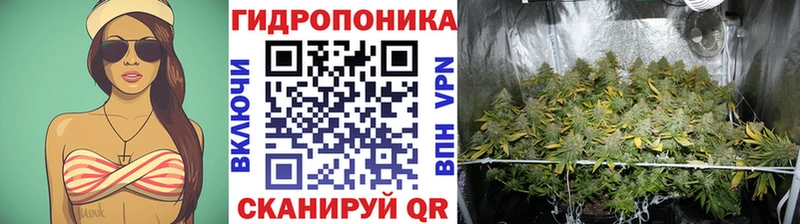 гидра tor  Ильский  Марихуана индика 